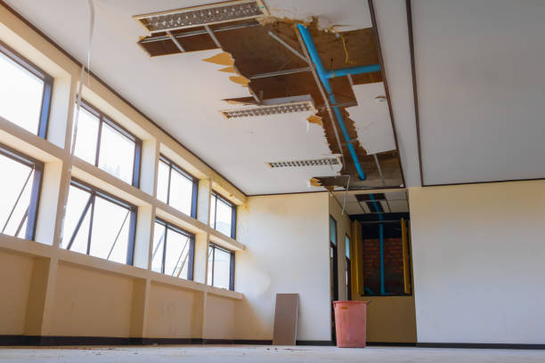 Best Carpet water damage restoration  in , VT