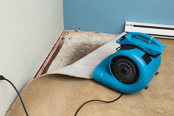 Best Water damage restoration near me  in , VT